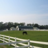The Greenwell Foundation, Inc. is a nonprofit organization that works in partnership with the Maryland Park Service at Greenwell State Park to provide accessible and inclusive programs such as therapeutic and recreational riding lessons.