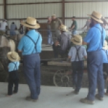 the Loveville Produce Auction is often a family affair.