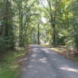 Trails at Newtowne Neck State Park take visitors through a variety of wildlife habitats.